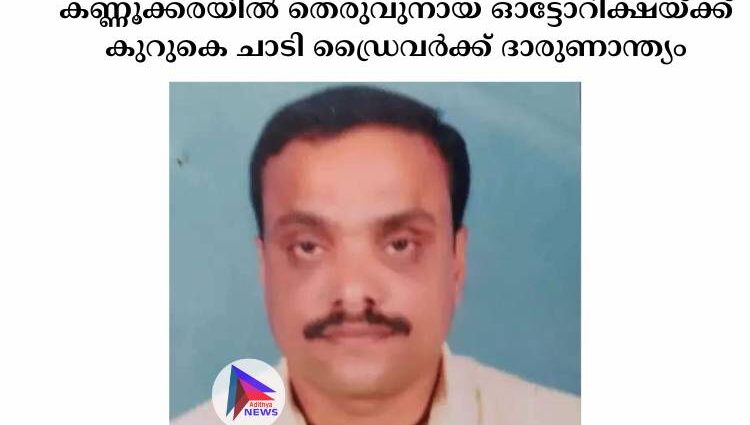 കണ്ണൂക്കരയില്‍ തെരുവുനായ ഓട്ടോറിക്ഷയ്ക്ക് കുറുകെ ചാടി ഡ്രൈവര്‍ക്ക് ദാരുണാന്ത്യം