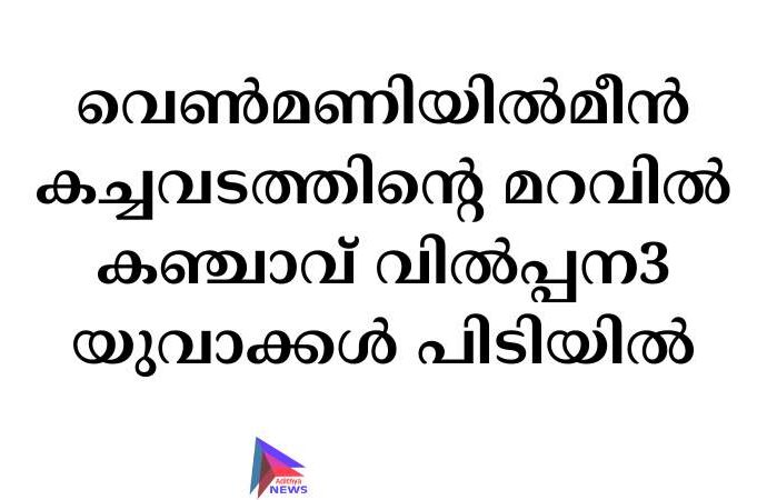 വെൺമണിയിൽമീൻ കച്ചവടത്തിന്റെ മറവിൽ കഞ്ചാവ് വിൽപ്പന3 യുവാക്കൾ പിടിയിൽ