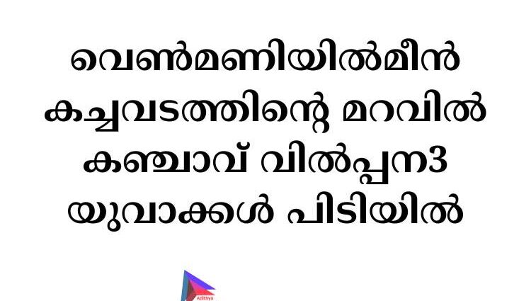 വെൺമണിയിൽമീൻ കച്ചവടത്തിന്റെ മറവിൽ കഞ്ചാവ് വിൽപ്പന3 യുവാക്കൾ പിടിയിൽ