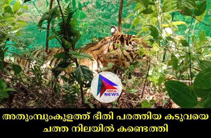 അതുംമ്പുംകുളത്ത് ഭീതി പരത്തിയ കടുവയെ ചത്ത നിലയിൽ കണ്ടെത്തി