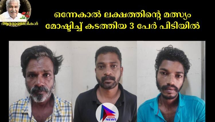 ഒന്നേകാൽ ലക്ഷത്തിന്റെ മത്സ്യം മോഷ്ടിച്ച് കടത്തിയ 3 പേർ പിടിയിൽ