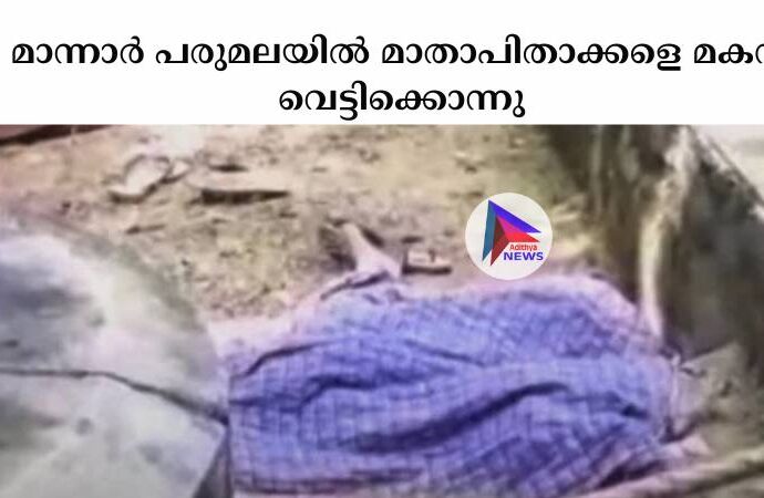 മാന്നാർ പരുമലയിൽ മാതാപിതാക്കളെ മകൻ വെട്ടിക്കൊന്നു