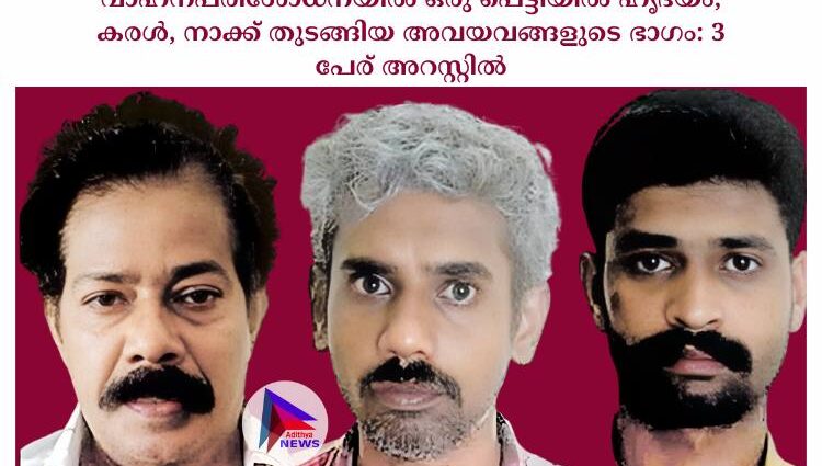 വാഹനപരിശോധനയിൽ ഒരു പെട്ടിയിൽ ഹൃദയം, കരൾ, നാക്ക് തുടങ്ങിയ അവയവങ്ങളുടെ ഭാഗം: 3 പേര് അറസ്റ്റിൽ