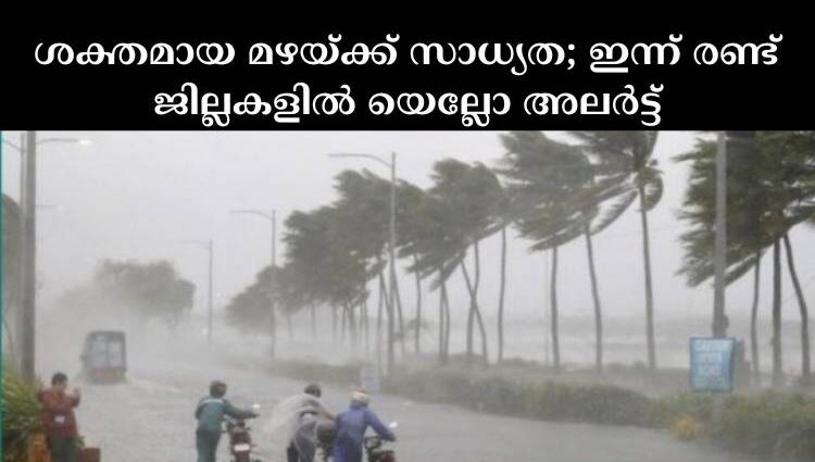 ശക്തമായ മഴയ്ക്ക് സാധ്യത; ഇന്ന് രണ്ട് ജില്ലകളില്‍ യെല്ലോ അലര്‍ട്ട്