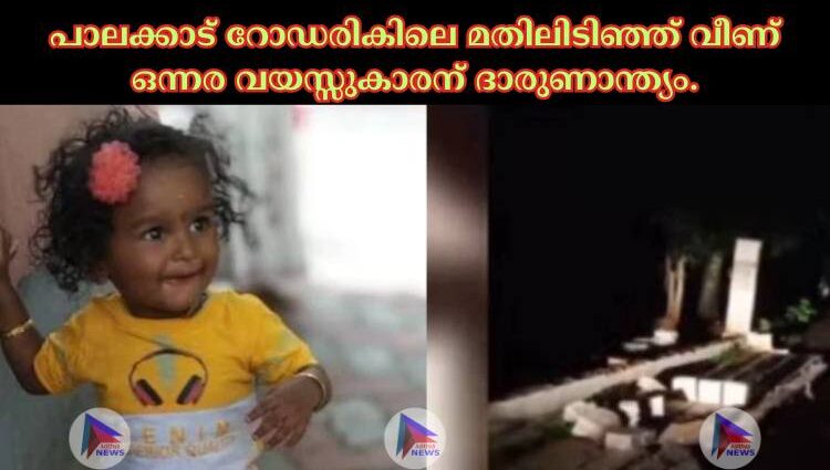 പാലക്കാട് റോഡരികിലെ മതിലിടിഞ്ഞ് വീണ് ഒന്നര വയസ്സുകാരന് ദാരുണാന്ത്യം.