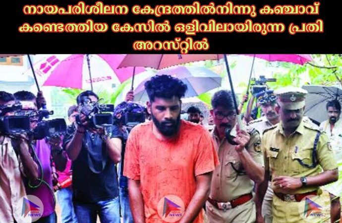 നായപരിശീലന കേന്ദ്രത്തില്‍നിന്നു കഞ്ചാവ്‌ കണ്ടെത്തിയ കേസില്‍ ഒളിവിലായിരുന്ന പ്രതി അറസ്‌റ്റില്‍