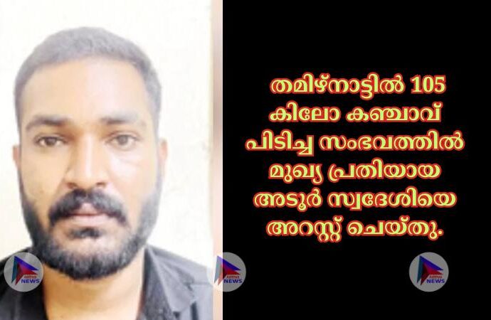 തമിഴ്നാട്ടില്‍ 105 കിലോ കഞ്ചാവ് പിടിച്ച സംഭവത്തില്‍ മുഖ്യ പ്രതിയായ അടൂര്‍ സ്വദേശിയെ അറസ്റ്റ് ചെയ്തു.