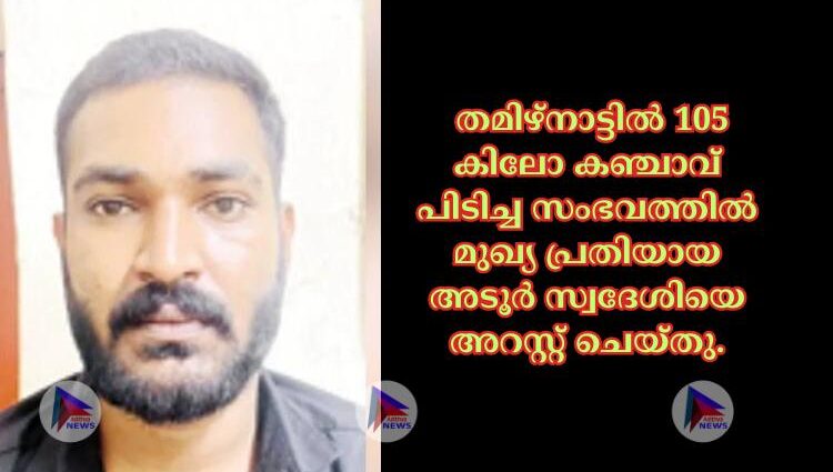 തമിഴ്നാട്ടില്‍ 105 കിലോ കഞ്ചാവ് പിടിച്ച സംഭവത്തില്‍ മുഖ്യ പ്രതിയായ അടൂര്‍ സ്വദേശിയെ അറസ്റ്റ് ചെയ്തു.