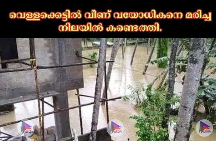 വെള്ളക്കെട്ടില്‍ വീണ് വയോധികനെ മരിച്ച നിലയില്‍ കണ്ടെത്തി.