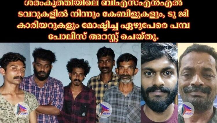 ശരംകുത്തിയിലെ ബിഎസ്എൻഎൽ ടവറുകളിൽ നിന്നും കേബിളുകളും, ടു ജി കാരിയറുകളും മോഷ്ടിച്ച ഏഴുപേരെ പമ്പ പോലീസ് അറസ്റ്റ് ചെയ്തു.