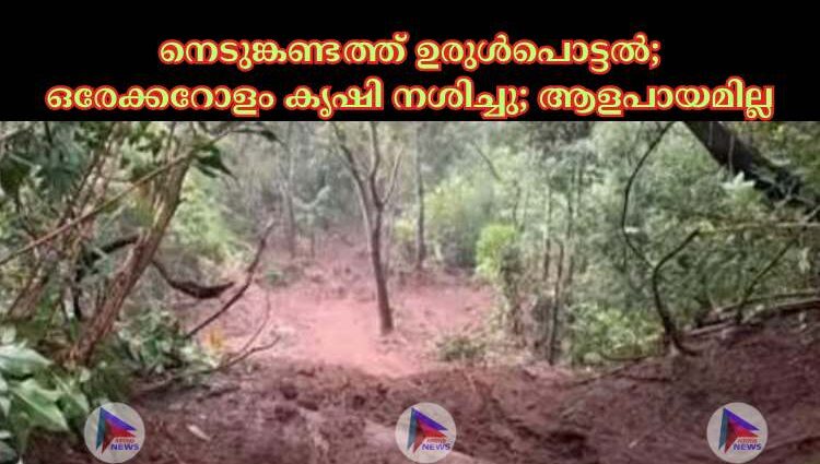 നെടുങ്കണ്ടത്ത് ഉരുള്‍പൊട്ടല്‍; ഒരേക്കറോളം കൃഷി നശിച്ചു; ആളപായമില്ല