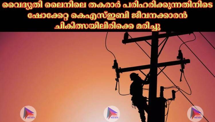 വൈദ്യുതി ലൈനിലെ തകരാര്‍ പരിഹരിക്കുന്നതിനിടെ ഷോക്കേറ്റ കെഎസ്‌ഇബി ജീവനക്കാരൻ ചികിത്സയിലിരിക്കെ മരിച്ചു