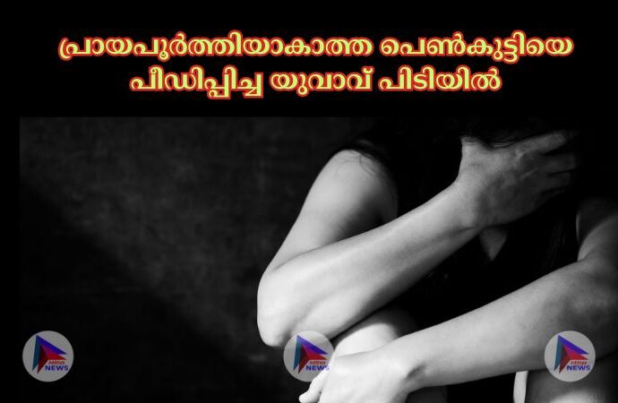 പ്രായപൂര്‍ത്തിയാകാത്ത പെണ്‍കുട്ടിയെ പീഡിപ്പിച്ച യുവാവ് പിടിയില്‍