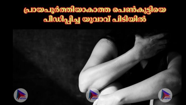 പ്രായപൂര്‍ത്തിയാകാത്ത പെണ്‍കുട്ടിയെ പീഡിപ്പിച്ച യുവാവ് പിടിയില്‍