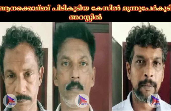 ആനക്കൊമ്ബ് പിടികൂടിയ കേസില്‍ മൂന്നുപേര്‍കൂടി അറസ്റ്റില്‍