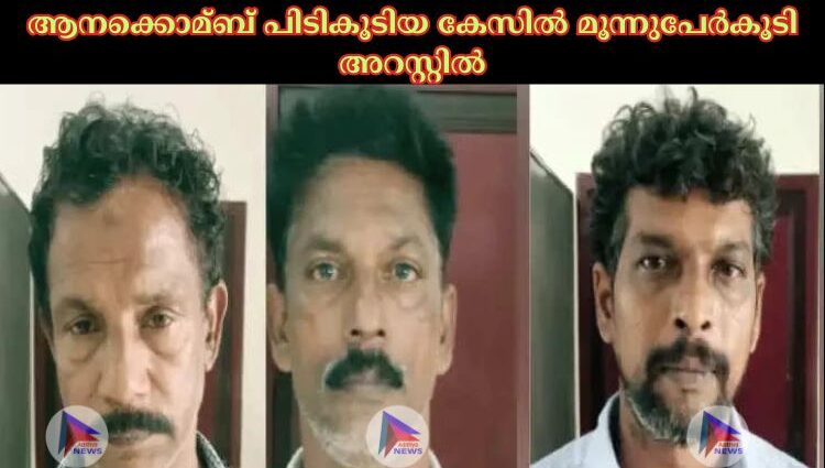 ആനക്കൊമ്ബ് പിടികൂടിയ കേസില്‍ മൂന്നുപേര്‍കൂടി അറസ്റ്റില്‍