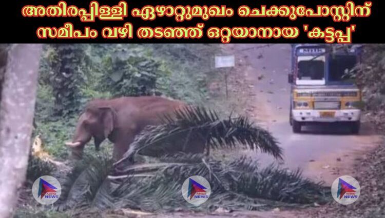 അതിരപ്പിള്ളി ഏഴാറ്റുമുഖം ചെക്കുപോസ്റ്റിന് സമീപം വഴി തടഞ്ഞ് ഒറ്റയാനായ 'കട്ടപ്പ'