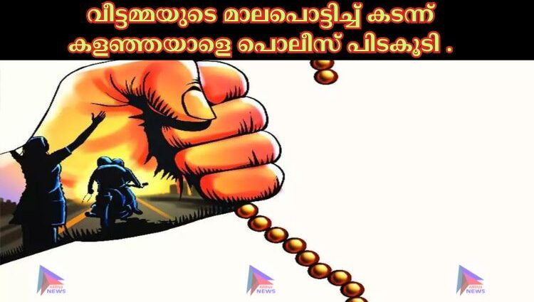 വീട്ടമ്മയുടെ മാലപൊട്ടിച്ച്‌ കടന്ന് കളഞ്ഞയാളെ പൊലീസ് പിടകൂടി .