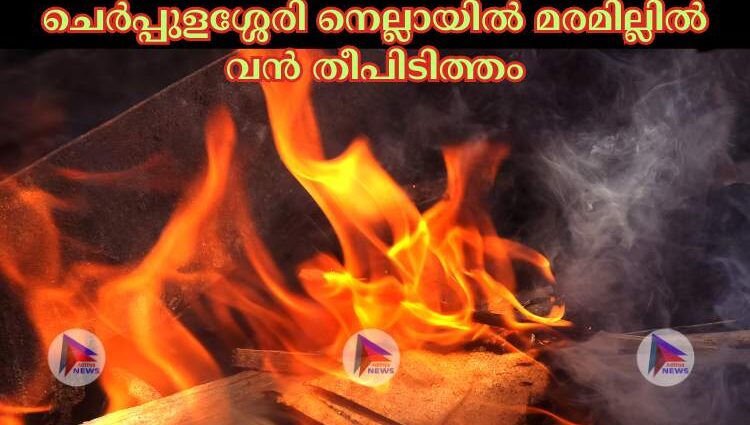 ചെര്‍പ്പുളശ്ശേരി നെല്ലായില്‍ മരമില്ലില്‍ വന്‍ തീപിടിത്തം