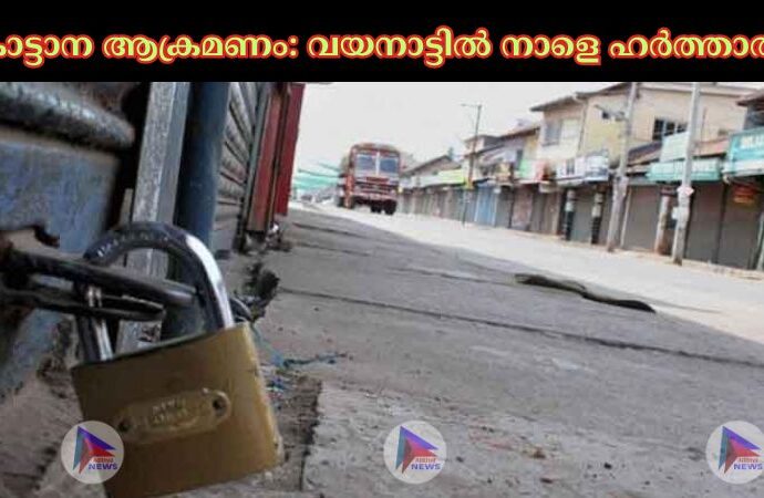 കാട്ടാന ആക്രമണം: വയനാട്ടില്‍ നാളെ ഹര്‍ത്താല്‍