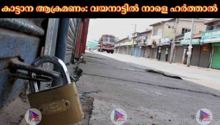 കാട്ടാന ആക്രമണം: വയനാട്ടില്‍ നാളെ ഹര്‍ത്താല്‍