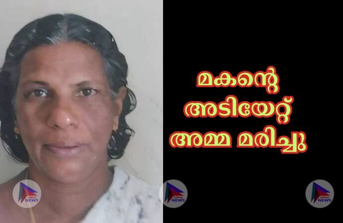 മകന്റെ അടിയേറ്റ്‌ അമ്മ മരിച്ചു