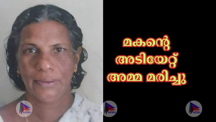 മകന്റെ അടിയേറ്റ്‌ അമ്മ മരിച്ചു