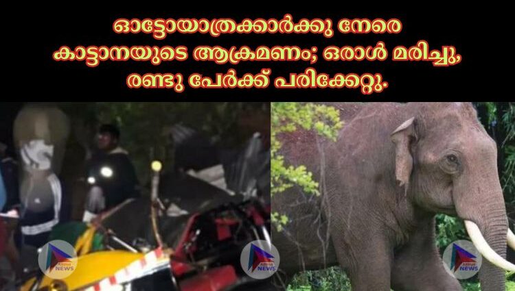 ഓട്ടോയാത്രക്കാർക്കു നേരെ കാട്ടാനയുടെ ആക്രമണം; ഒരാൾ മരിച്ചു, രണ്ടു പേർക്ക് പരിക്കേറ്റു.