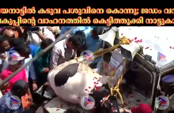 വയനാട്ടില്‍ കടുവ പശുവിനെ കൊന്നു; ജഡം വനം വകുപ്പിന്റെ വാഹനത്തില്‍ കെട്ടിത്തൂക്കി നാട്ടുകാര്‍