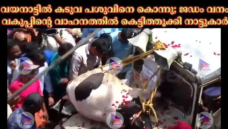 വയനാട്ടില്‍ കടുവ പശുവിനെ കൊന്നു; ജഡം വനം വകുപ്പിന്റെ വാഹനത്തില്‍ കെട്ടിത്തൂക്കി നാട്ടുകാര്‍