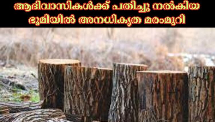 ആദിവാസികള്‍ക്ക് പതിച്ചു നല്‍കിയ ഭൂമിയില്‍ അനധികൃത മരംമുറി