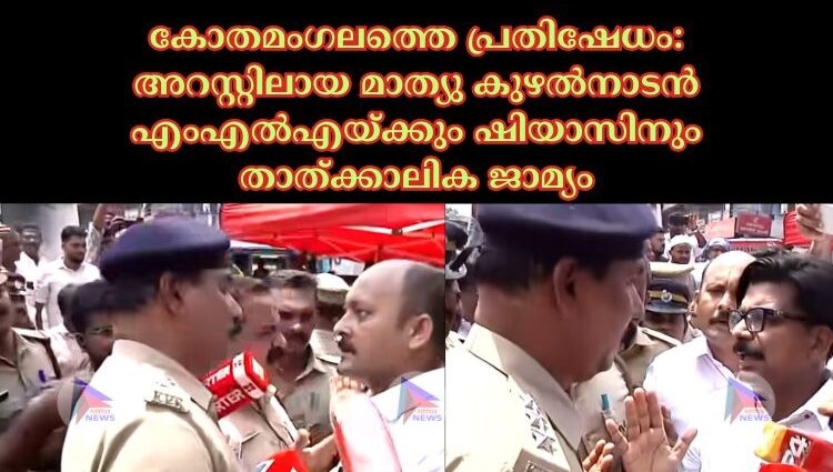 കോതമംഗലത്തെ പ്രതിഷേധം: അറസ്റ്റിലായ മാത്യു കുഴല്‍നാടൻ എംഎല്‍എയ്ക്കും ഷിയാസിനും താത്ക്കാലിക ജാമ്യം