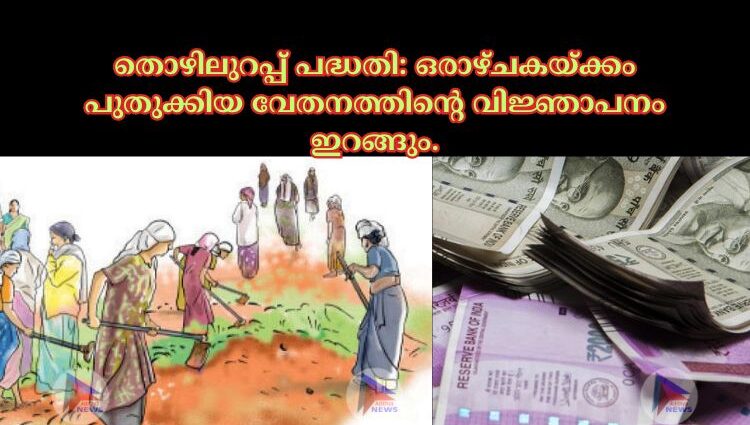 തൊഴിലുറപ്പ് പദ്ധതി: ഒരാഴ്‌ചകയ്‌ക്കം പുതുക്കിയ വേതനത്തിന്റെ വിജ്ഞാപനം ഇറങ്ങും.