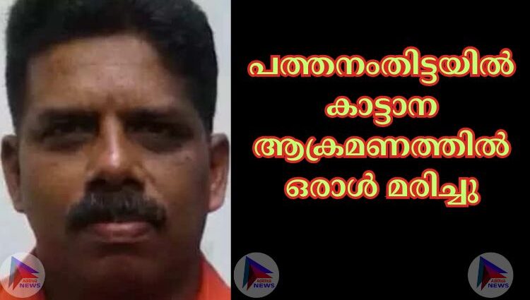 പത്തനംതിട്ടയില്‍ കാട്ടാന ആക്രമണത്തില്‍ ഒരാള്‍ മരിച്ചു