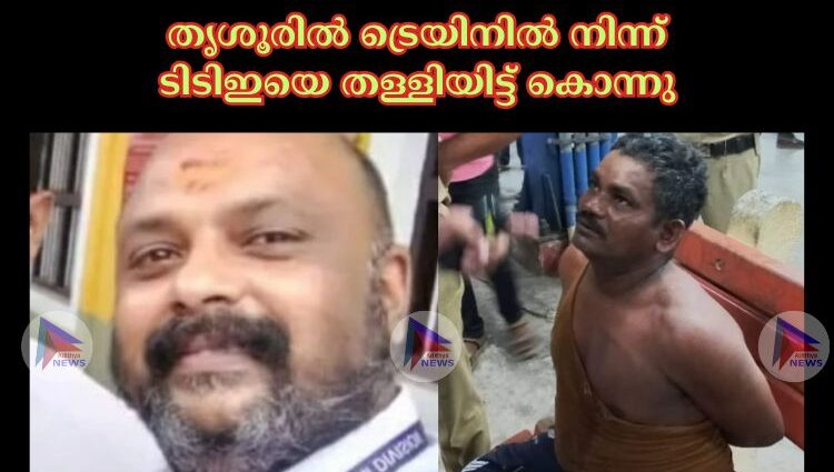 തൃശൂരില്‍ ട്രെയിനില്‍ നിന്ന് ടിടിഇയെ തള്ളിയിട്ട് കൊന്നു