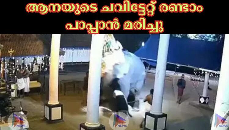 ആനയുടെ ചവിട്ടേറ്റ് രണ്ടാം പാപ്പാൻ മരിച്ചു