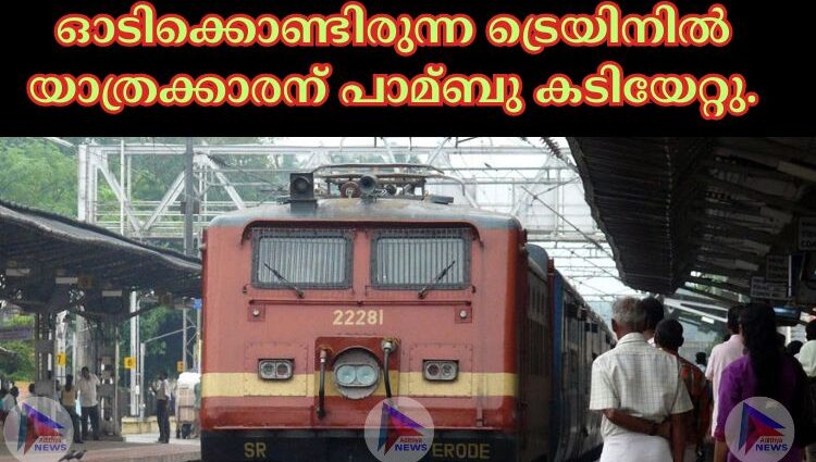 ഓടിക്കൊണ്ടിരുന്ന ട്രെയിനില്‍ യാത്രക്കാരന് പാമ്ബു കടിയേറ്റു. 