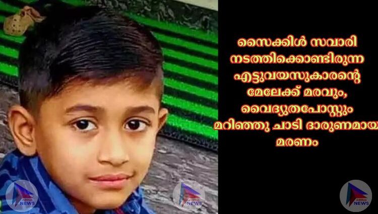 സൈക്കിൾ സവാരി നടത്തിക്കൊണ്ടിരുന്ന എട്ടുവയസുകാരന്റെ മേലേക്ക് മരവും, വൈദ്യുതപോസ്റ്റും മറിഞ്ഞു ചാടി ദാരുണമായ മരണം