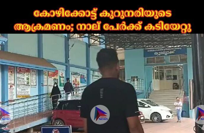 കോഴിക്കോട്ട് കുറുനരിയുടെ ആക്രമണം; നാല് പേര്‍ക്ക് കടിയേറ്റു