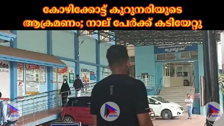 കോഴിക്കോട്ട് കുറുനരിയുടെ ആക്രമണം; നാല് പേര്‍ക്ക് കടിയേറ്റു