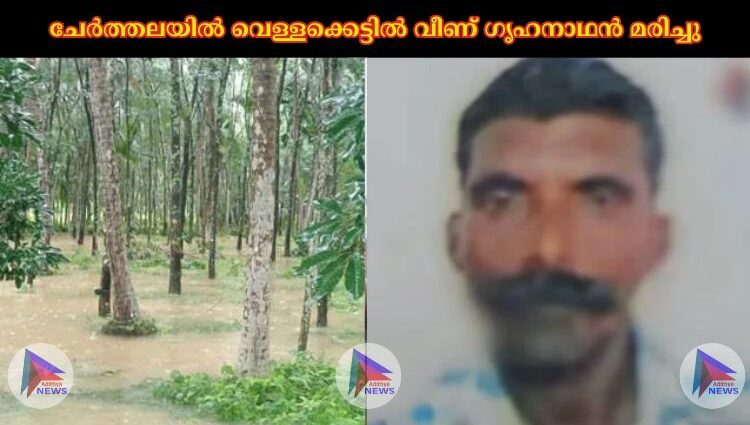 ചേര്‍ത്തലയില്‍ വെള്ളക്കെട്ടില്‍ വീണ് ഗൃഹനാഥന്‍ മരിച്ചു