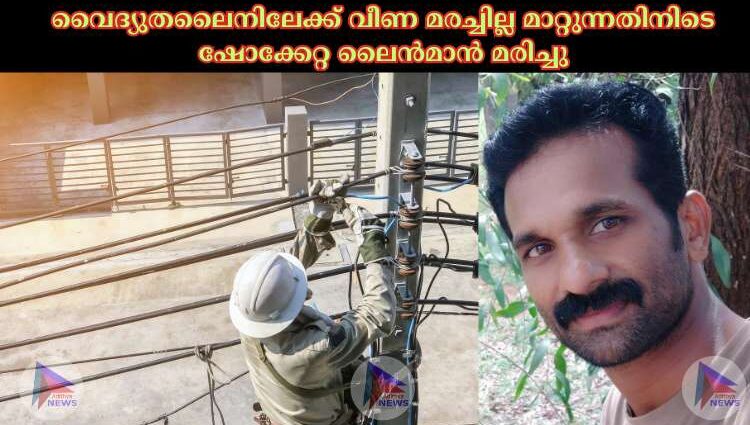 വൈദ്യുതലൈനിലേക്ക് വീണ മരച്ചില്ല മാറ്റുന്നതിനിടെ ഷോക്കേറ്റ ലൈൻമാൻ മരിച്ചു