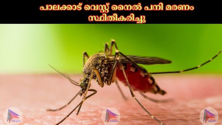 പാലക്കാട് വെസ്റ്റ് നൈല്‍ പനി മരണം സ്ഥിതീകരിച്ചു