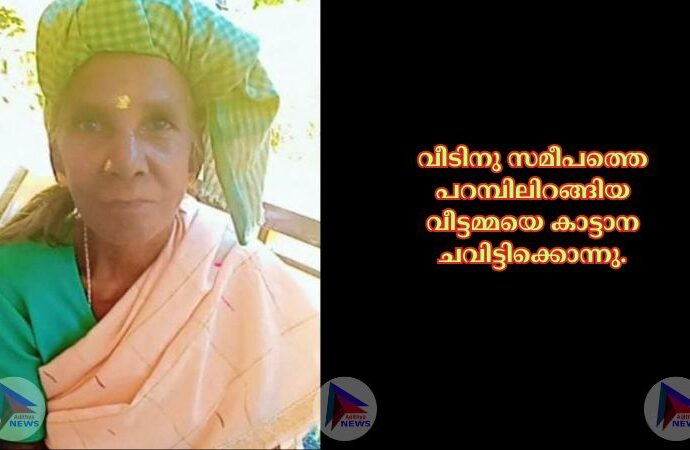 വീടിനു സമീപത്തെ പറമ്പിലിറങ്ങിയ വീട്ടമ്മയെ കാട്ടാന ചവിട്ടിക്കൊന്നു.