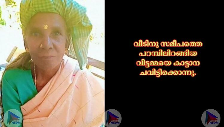 വീടിനു സമീപത്തെ പറമ്പിലിറങ്ങിയ വീട്ടമ്മയെ കാട്ടാന ചവിട്ടിക്കൊന്നു.