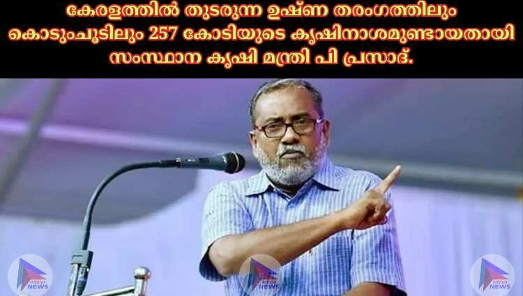 കേരളത്തില്‍ തുടരുന്ന ഉഷ്ണ തരംഗത്തിലും കൊടുംചൂടിലും 257 കോടിയുടെ കൃഷിനാശമുണ്ടായതായി സംസ്ഥാന കൃഷി മന്ത്രി പി പ്രസാദ്.