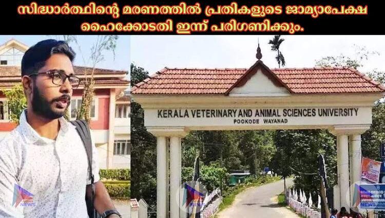 സിദ്ധാർത്ഥിന്റെ മരണത്തില്‍ പ്രതികളുടെ ജാമ്യാപേക്ഷ ഹൈക്കോടതി ഇന്ന് പരിഗണിക്കും.