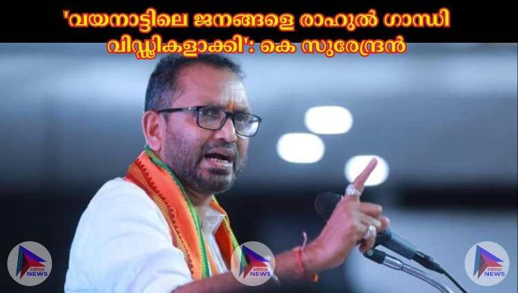 'വയനാട്ടിലെ ജനങ്ങളെ രാഹുല്‍ ഗാന്ധി വിഡ്ഢികളാക്കി': കെ സുരേന്ദ്രൻ