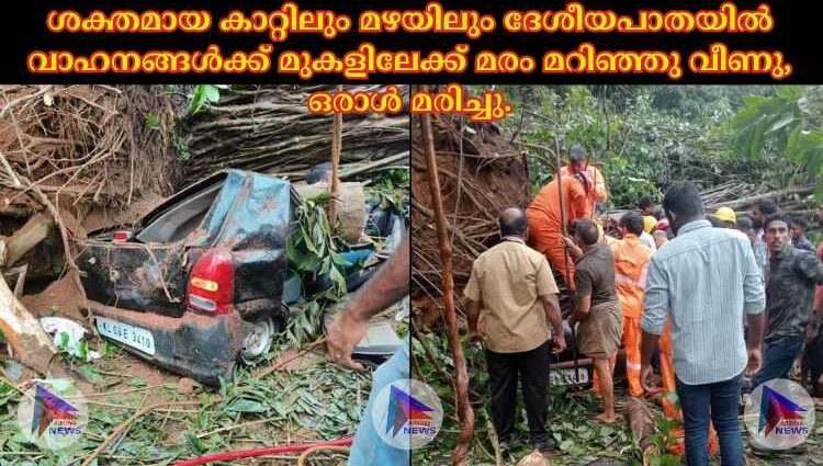 ശക്തമായ കാറ്റിലും മഴയിലും ദേശീയപാതയിൽ വാഹനങ്ങൾക്ക് മുകളിലേക്ക് മരം മറിഞ്ഞു വീണു, ഒരാൾ മരിച്ചു.