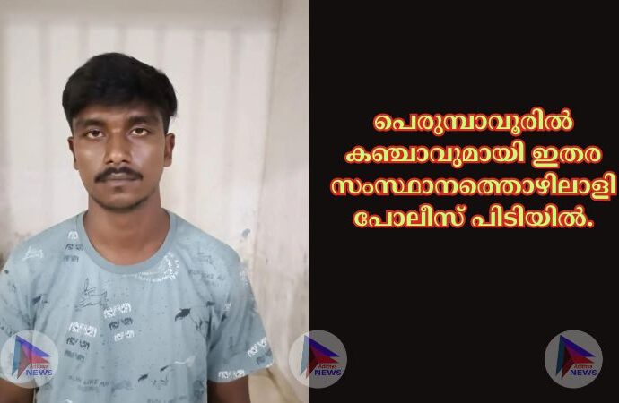 പെരുമ്പാവൂരിൽ കഞ്ചാവുമായി ഇതര സംസ്ഥാനത്തൊഴിലാളി പോലീസ് പിടിയിൽ.